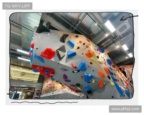 权威发布攀岩意识实力榜单揭示顶尖选手潜力与挑战